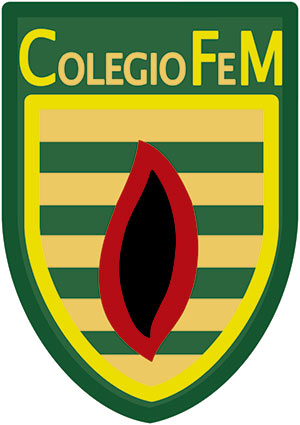 LOGO-FEM